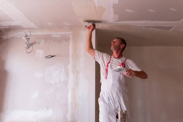 Best Ceiling Drywall Installation  in Pleak, TX